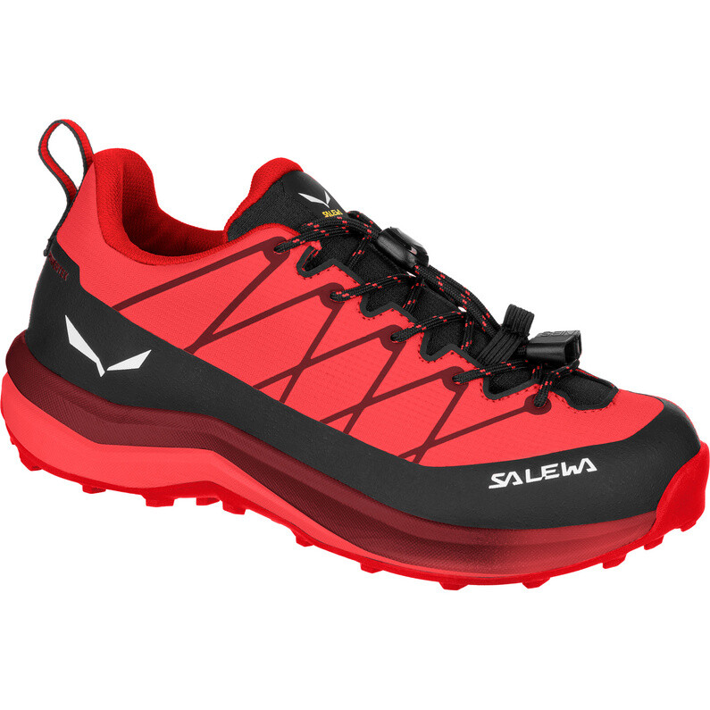 Детская обувь Wildfire 2 PTX Salewa, розовый
Детская обувь Wildfire 2 PTX Salewa, розовый