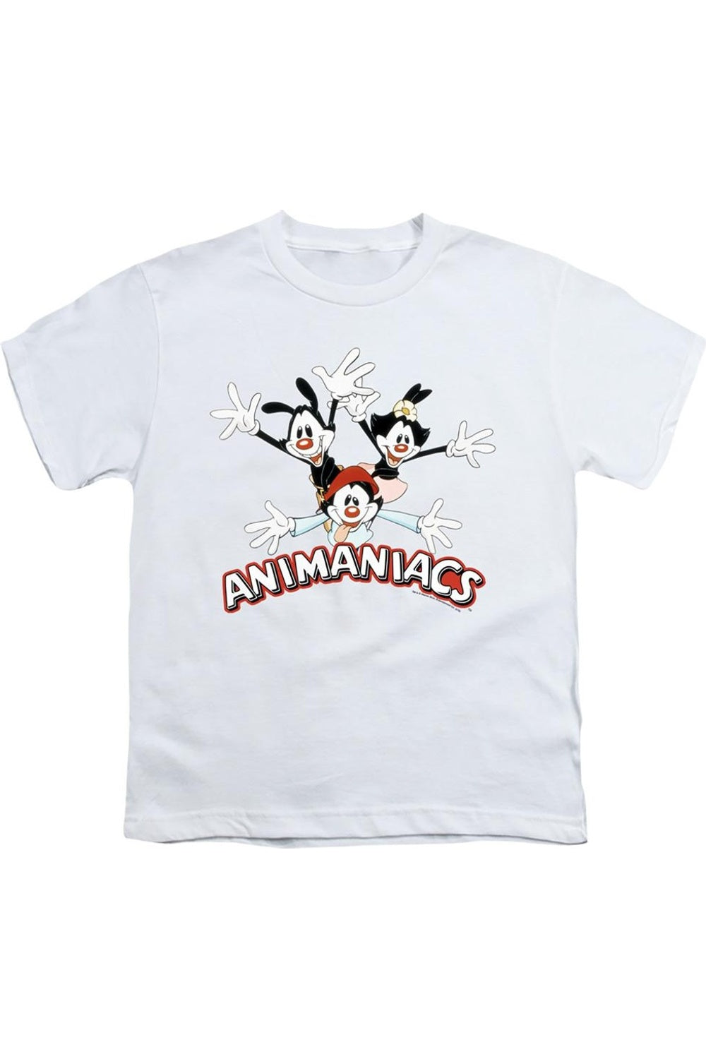 Футболка с коротким рукавом Animaniacs Trio для детей Gildan, белый
Футболка с коротким рукавом Animaniacs Trio для детей Gildan, белый