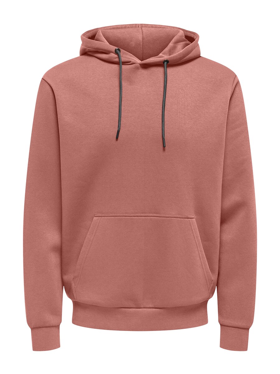 Толстовка обычного кроя Only & Sons Ceres, красный
Толстовка обычного кроя Only & Sons Ceres, красный