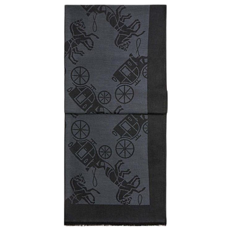 Хлопковый трикотажный шарф унисекс черный COACH
Хлопковый трикотажный шарф унисекс черный COACH