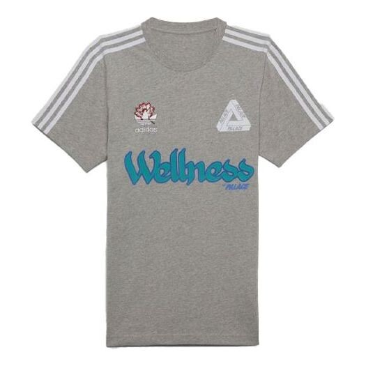 Футболка Palace x Originals Wellness с короткими рукавами и графическим принтом Adidas, серый
Футболка Palace x Originals Wellness с короткими рукавами и графическим принтом Adidas, серый