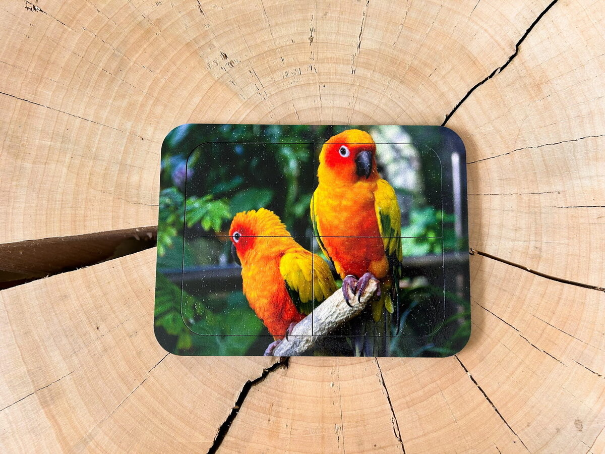 Попугай, деревянный пазл с четырьмя элементами, основа с подписью, первый пазл Inna marka
Попугай, деревянный пазл с четырьмя элементами, основа с подписью, первый пазл Inna marka