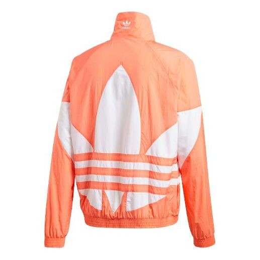 Куртка originals ss20 big trefoil track jacket for men orange/white Adidas, оранжевый
Куртка originals ss20 big trefoil track jacket for men orange/white Adidas, оранжевый