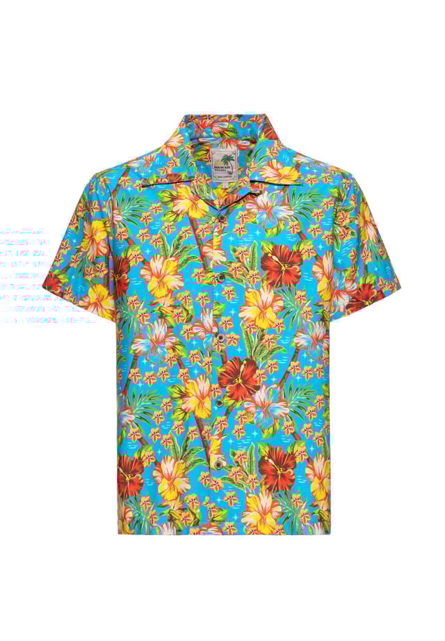 Рубашка с короткими рукавами и рисунком девушки хула на спине девушка хула King Kerosin, голубой
Рубашка с короткими рукавами и рисунком девушки хула на спине девушка хула King Kerosin, голубой