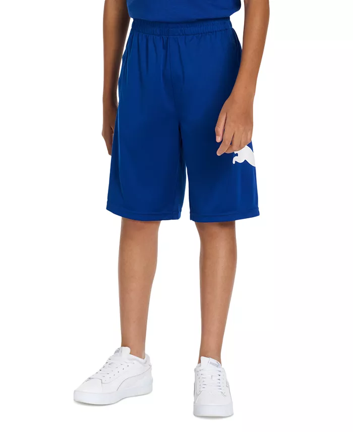 Эластичные шорты для активного отдыха Big Boys Essential Speed Pack Pull-On Performance Puma, синий
Эластичные шорты для активного отдыха Big Boys Essential Speed Pack Pull-On Performance Puma, синий