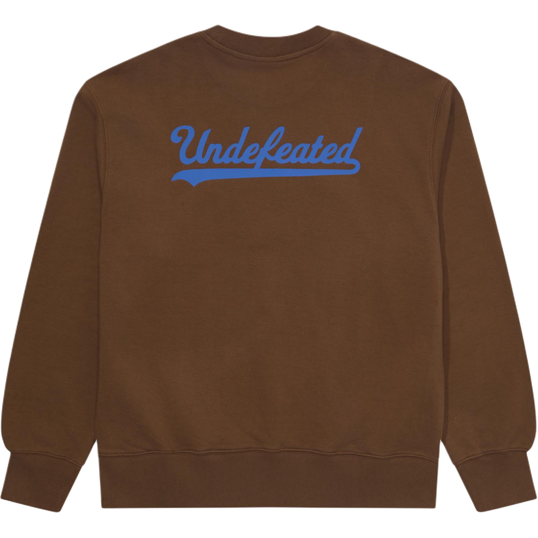 Свитшот FW25 Unisex UNDEFEATED, коричневый
Свитшот FW25 Unisex UNDEFEATED, коричневый