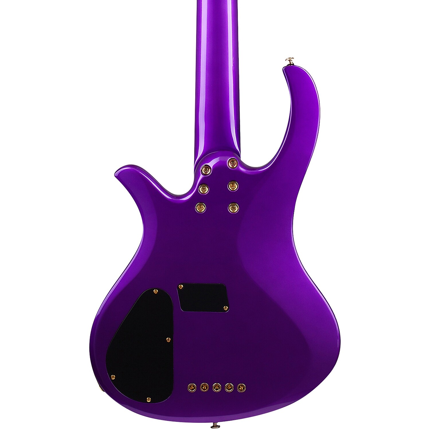 Schecter Guitar Research FreeZesicle-5 5-струнная электрическая бас-гитара Freeze Purple
Schecter Guitar Research FreeZesicle-5 5-струнная электрическая бас-гитара Freeze Purple