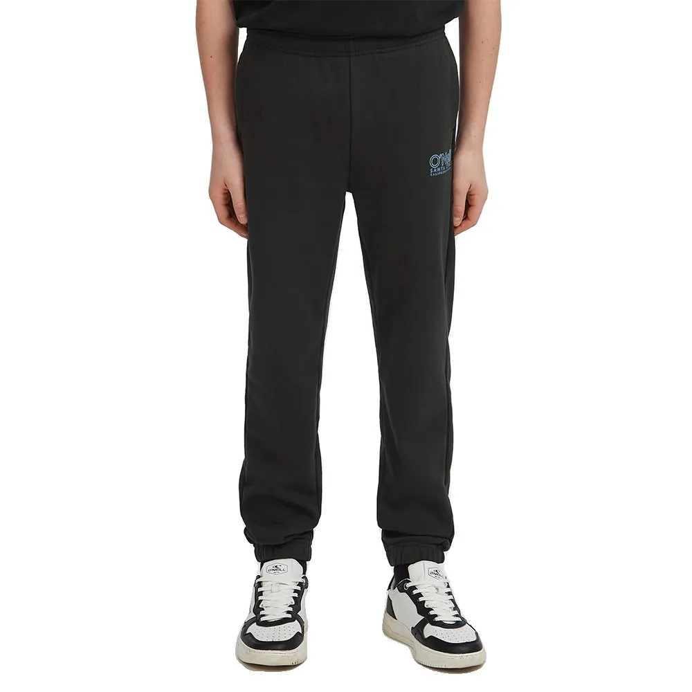 Спортивные брюки O´neill Essentials, черный
Спортивные брюки O´neill Essentials, черный