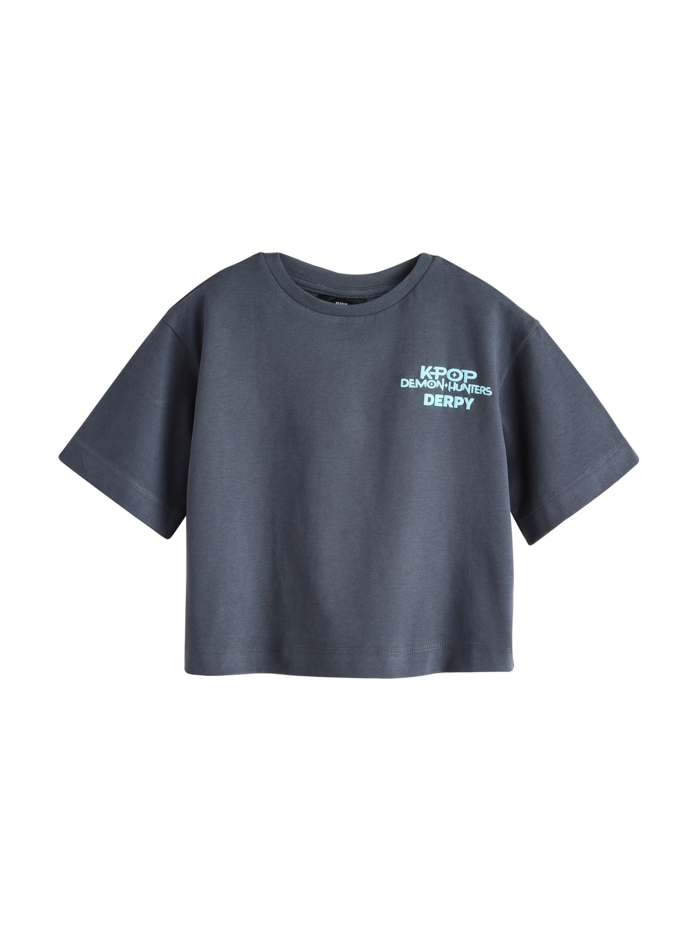 Next Футболка 'Demon Hunters' в сером цвете
Next Футболка 'Demon Hunters' в сером цвете