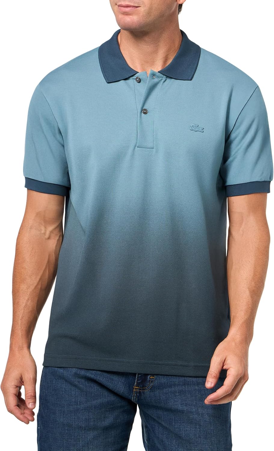 Lacoste мужская классическая футболка поло с градиентом, Limestone & Falcon
Lacoste мужская классическая футболка поло с градиентом, Limestone & Falcon