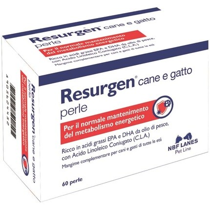 Возродить 60 жемчужин N.B.F. Lanes Srl
Возродить 60 жемчужин N.B.F. Lanes Srl