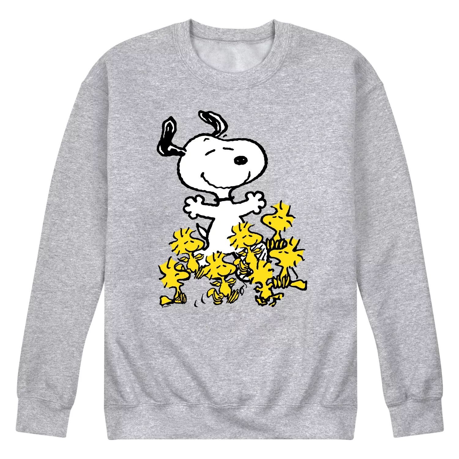 Мужской свитшот с рисунком Peanuts Snoopy Woodstock Dance Party Licensed Character
Мужской свитшот с рисунком Peanuts Snoopy Woodstock Dance Party Licensed Character
