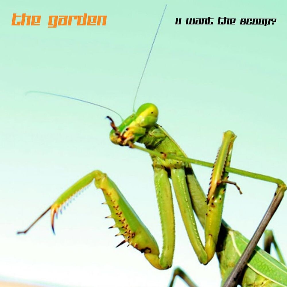 Виниловая пластинка LP U Want The Scoop - The Garden 
Виниловая пластинка LP U Want The Scoop - The Garden