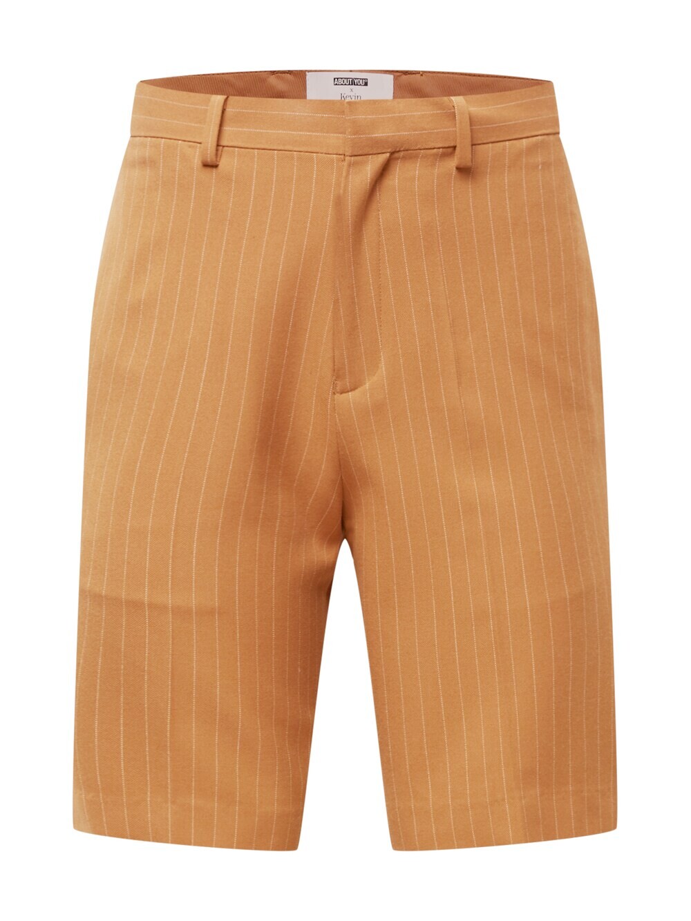 Обычные брюки ABOUT YOU x Kevin Trapp Faris, коричневый
Обычные брюки ABOUT YOU x Kevin Trapp Faris, коричневый