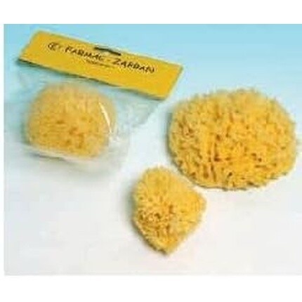 Спугна-Маре N.3 Большой Vividus
Спугна-Маре N.3 Большой Vividus