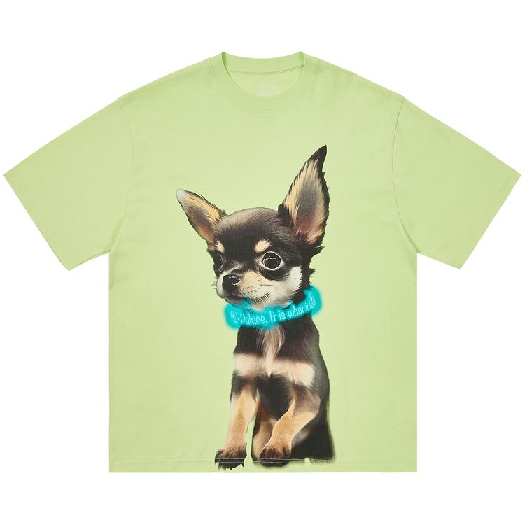 Футболка Palace Yappy T-Shirt 'Mojito', зеленый
Футболка Palace Yappy T-Shirt 'Mojito', зеленый