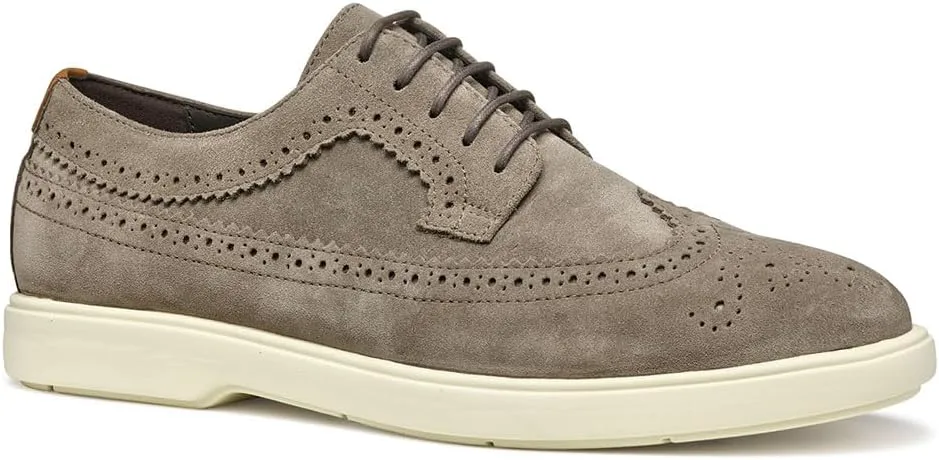 Туфли Geox Mens U Spherica Ec17 E, серый
Туфли Geox Mens U Spherica Ec17 E, серый