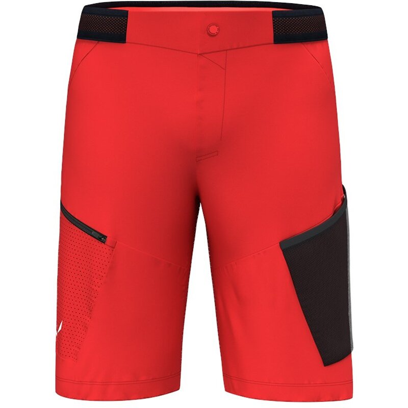 Шорты pedroc 3 dst m cargo shorts Salewa, мультиколор
Шорты pedroc 3 dst m cargo shorts Salewa, мультиколор
