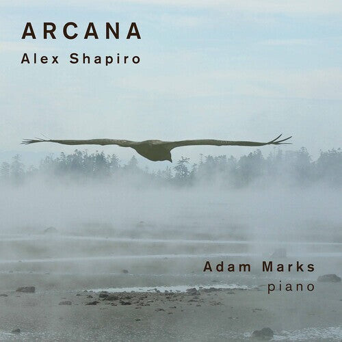 CD диск Shapiro / Marks: Arcana
CD диск Shapiro / Marks: Arcana