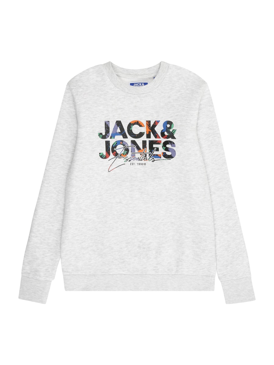 Толстовка Jack & Jones Junior JJGEPLAS, светло-серый
Толстовка Jack & Jones Junior JJGEPLAS, светло-серый