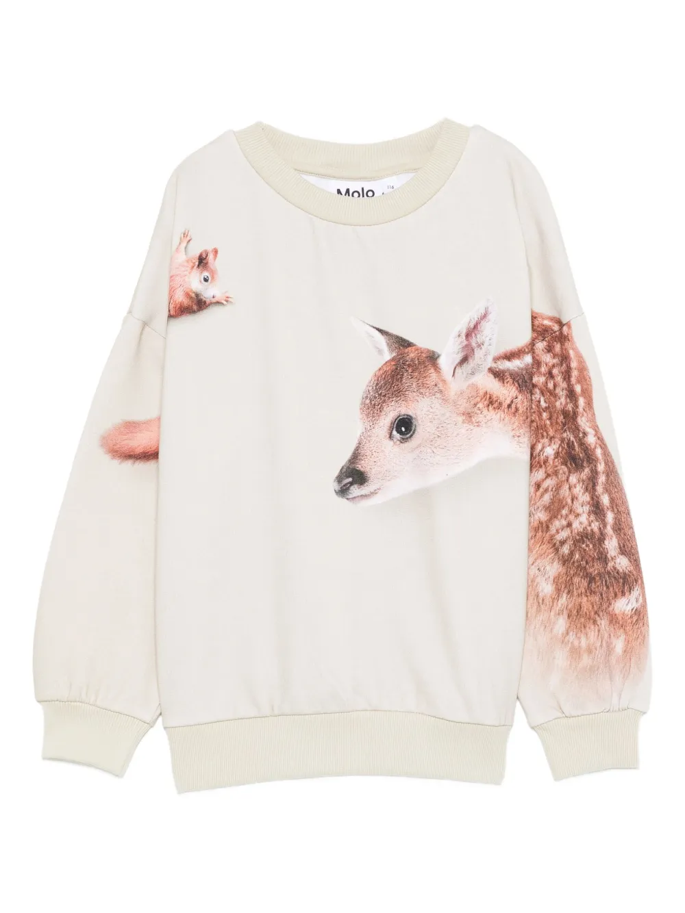 Толстовка «Лесные друзья» Molo, нейтральный
Толстовка «Лесные друзья» Molo, нейтральный