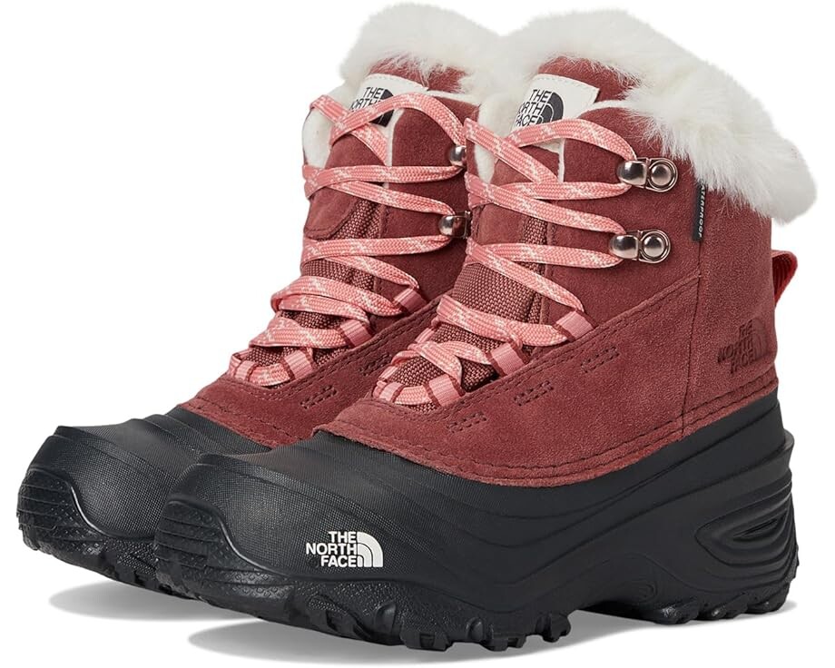 Ботинки The North Face Kids Shellista V Lace Waterproof, цвет Canyon Dust/Terracotta
Ботинки The North Face Kids Shellista V Lace Waterproof, цвет Canyon Dust/Terracotta