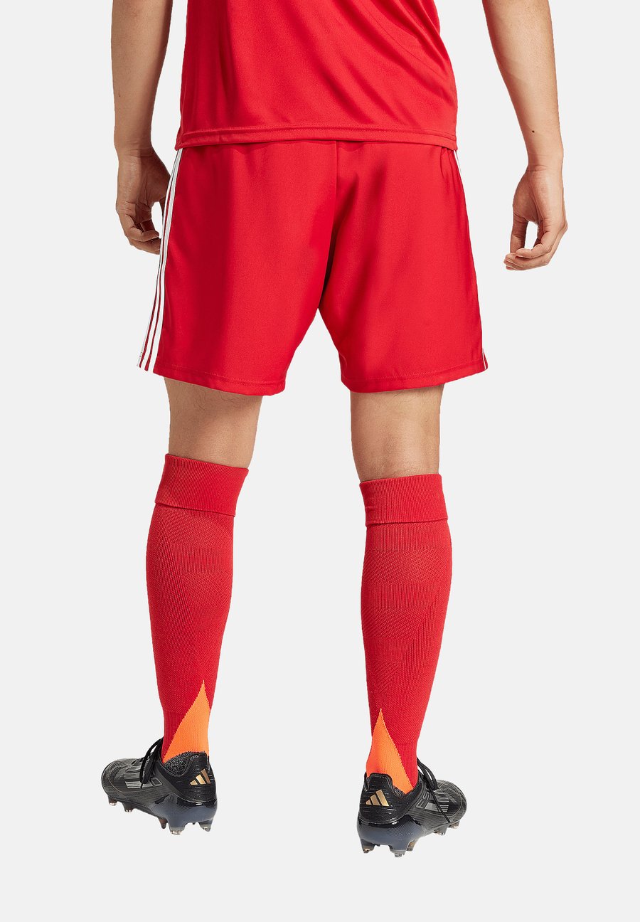 Спортивные шорты Adidas Performance TASTIGO 25, Rot/Red
Спортивные шорты Adidas Performance TASTIGO 25, Rot/Red