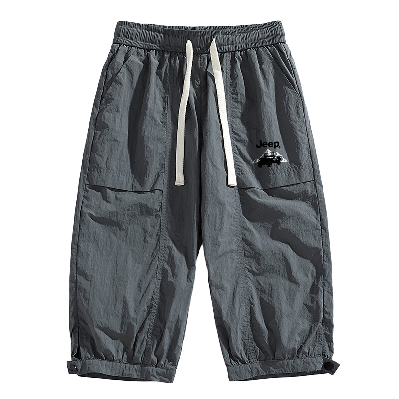 Повседневные шорты унисекс Jeep, темно-серый
Повседневные шорты унисекс Jeep, темно-серый