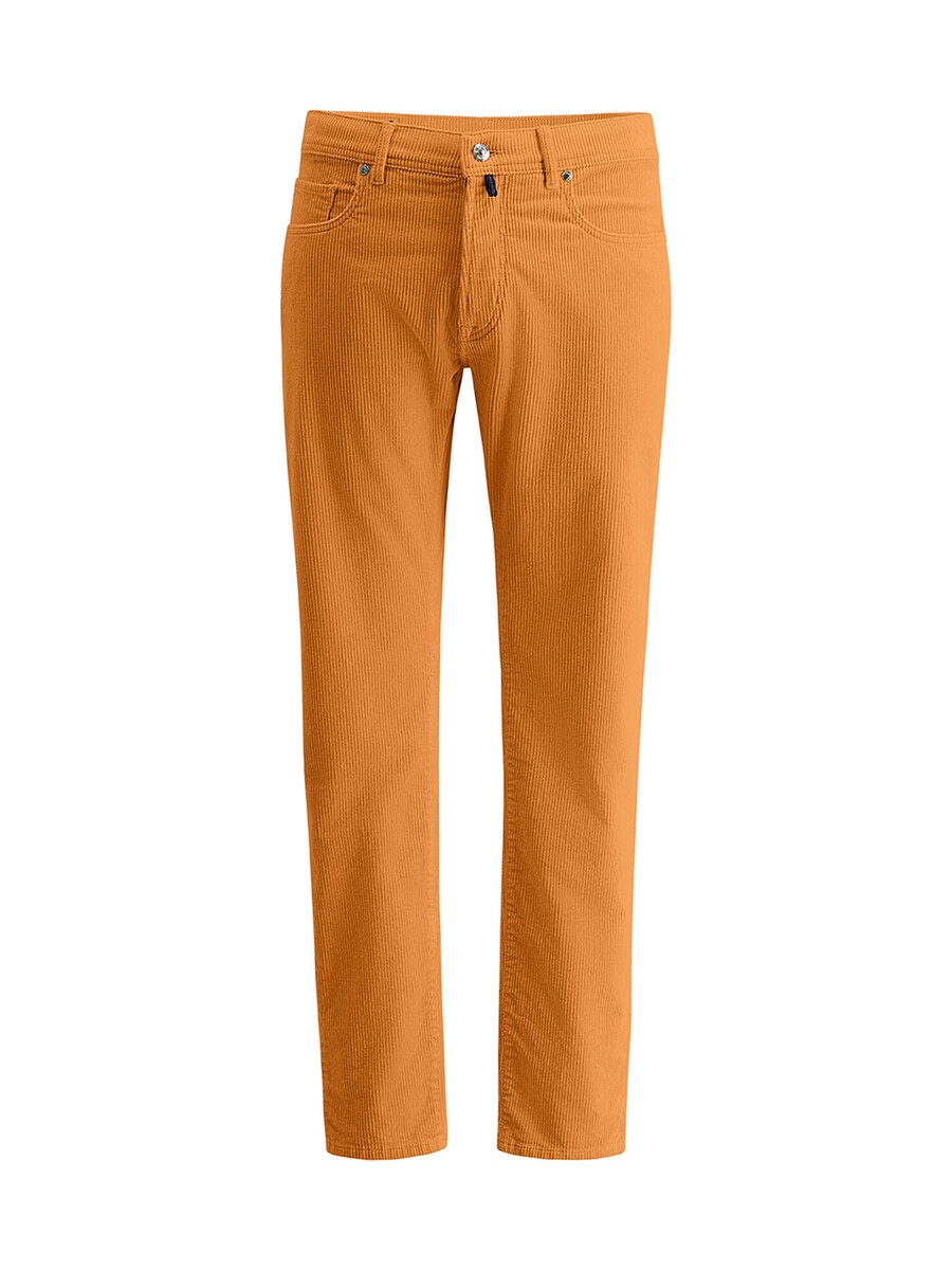Обычные брюки PIERRE CARDIN Laval, Mandarine
Обычные брюки PIERRE CARDIN Laval, Mandarine