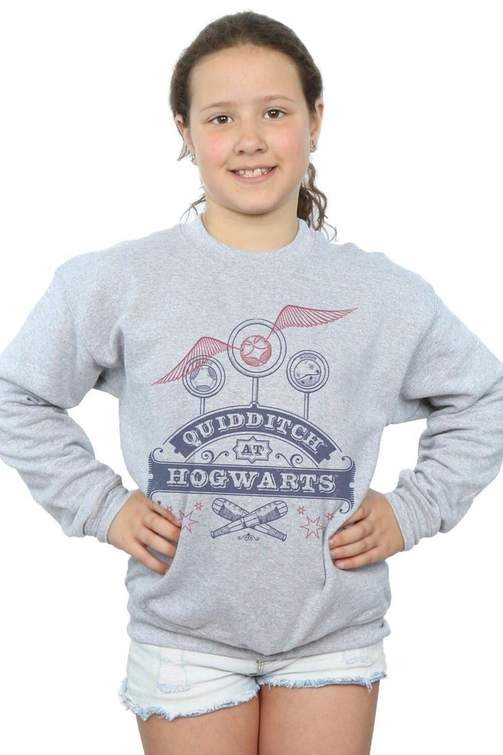Толстовка для квиддича в Хогвартсе Harry Potter, серый
Толстовка для квиддича в Хогвартсе Harry Potter, серый