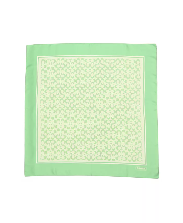 35-дюймовый текстурированный шелковый платок с принтом Signature C COACH, зеленый
35-дюймовый текстурированный шелковый платок с принтом Signature C COACH, зеленый