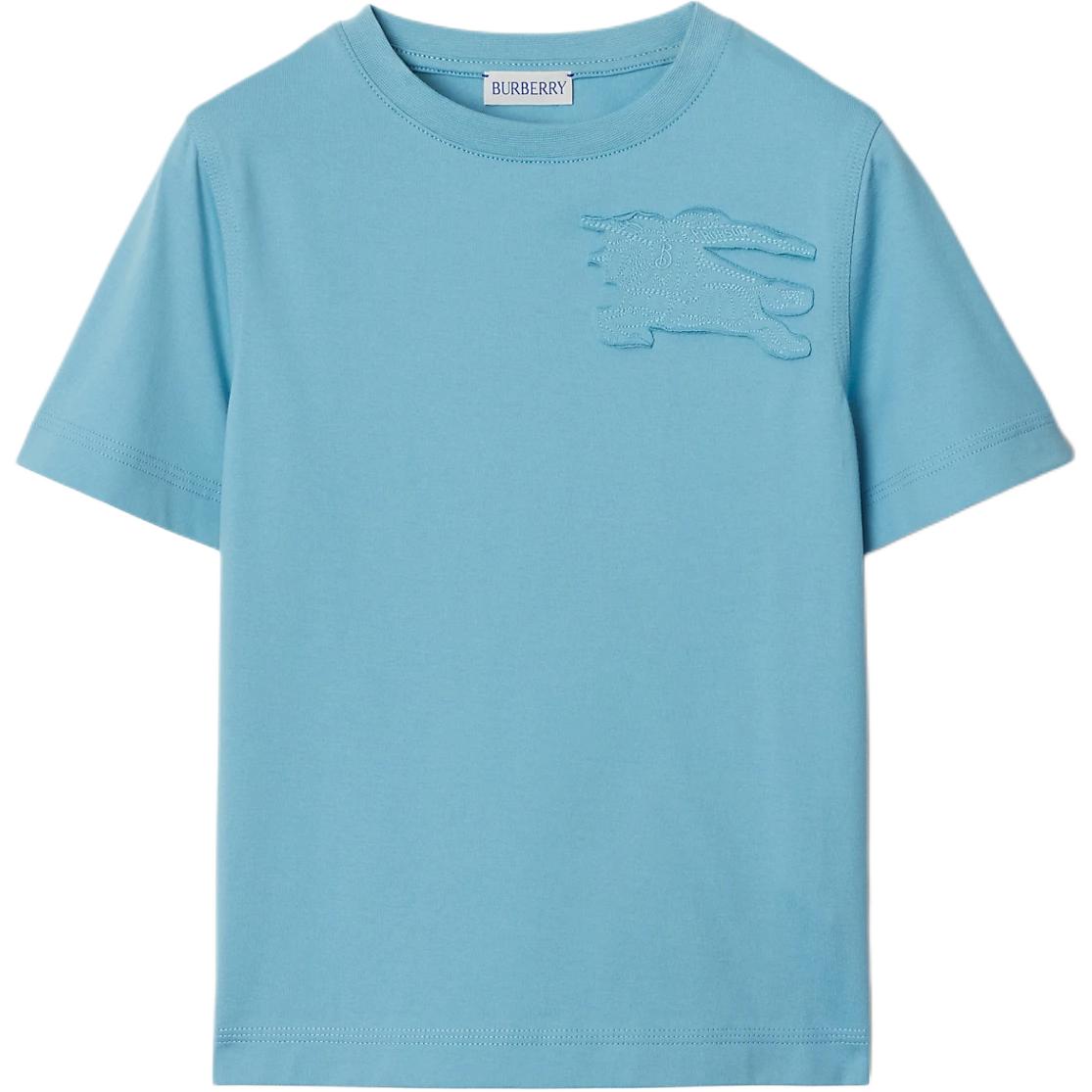 Детская футболка Burberry, синий
Детская футболка Burberry, синий