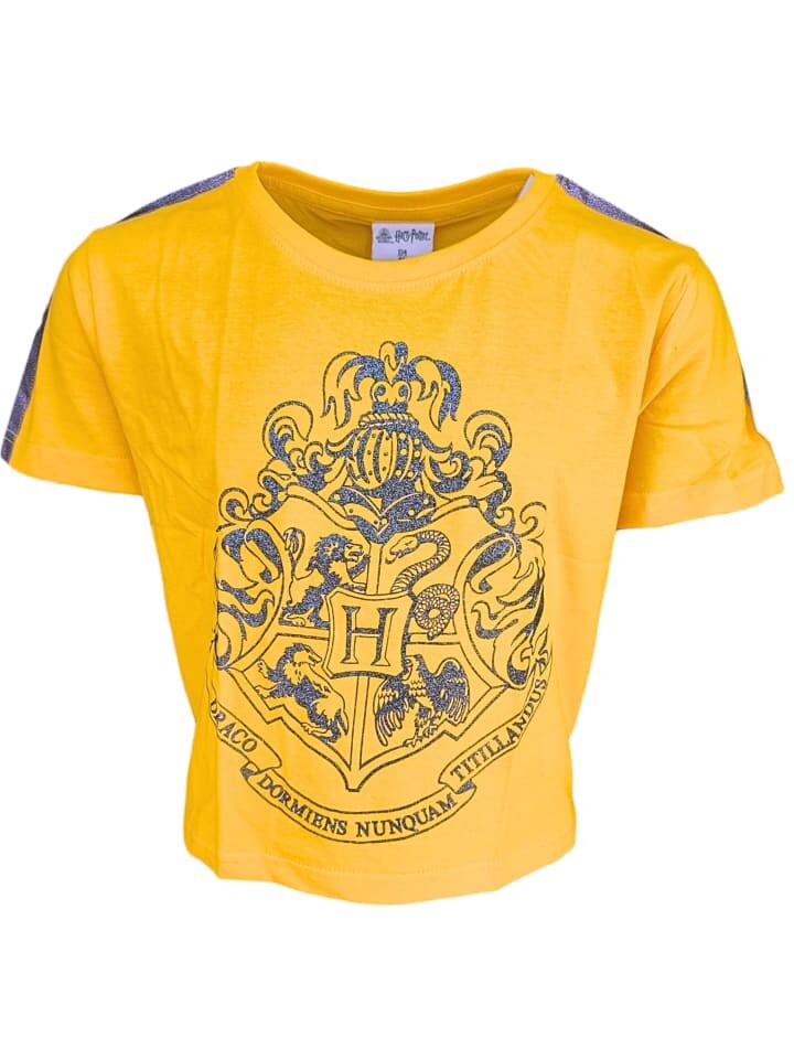 Футболка Harry Potter, желтый
Футболка Harry Potter, желтый