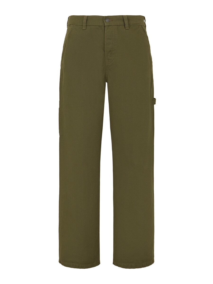 Обычные брюки-карго DICKIES, оливковый
Обычные брюки-карго DICKIES, оливковый