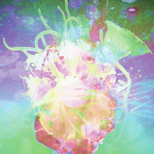 Виниловая пластинка Dey, Katie: Solipsisters (Green)
Виниловая пластинка Dey, Katie: Solipsisters (Green)