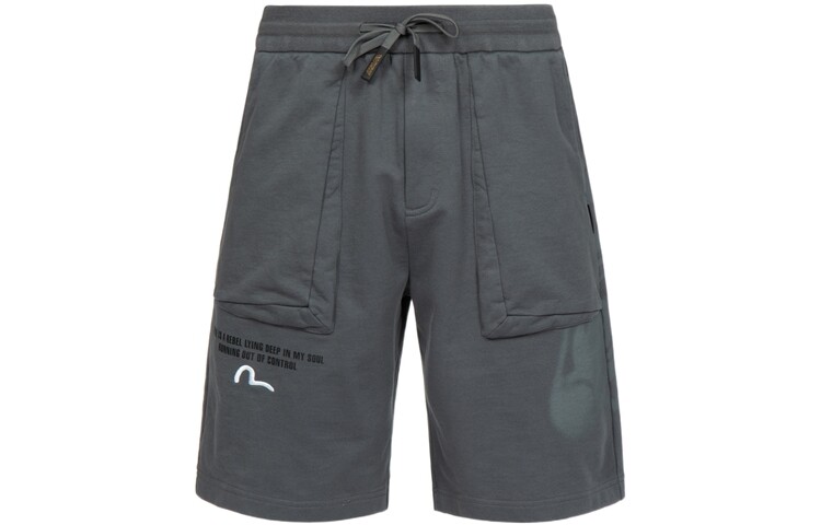 Повседневные шорты мужские темно-серые Evisu, темно-серый
Повседневные шорты мужские темно-серые Evisu, темно-серый