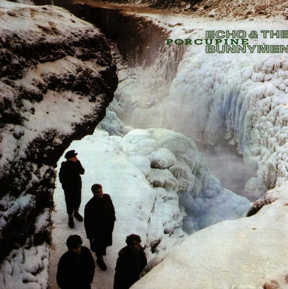 Виниловая пластинка LP Porcupine - Echo & The Bunnymen
Виниловая пластинка LP Porcupine - Echo & The Bunnymen