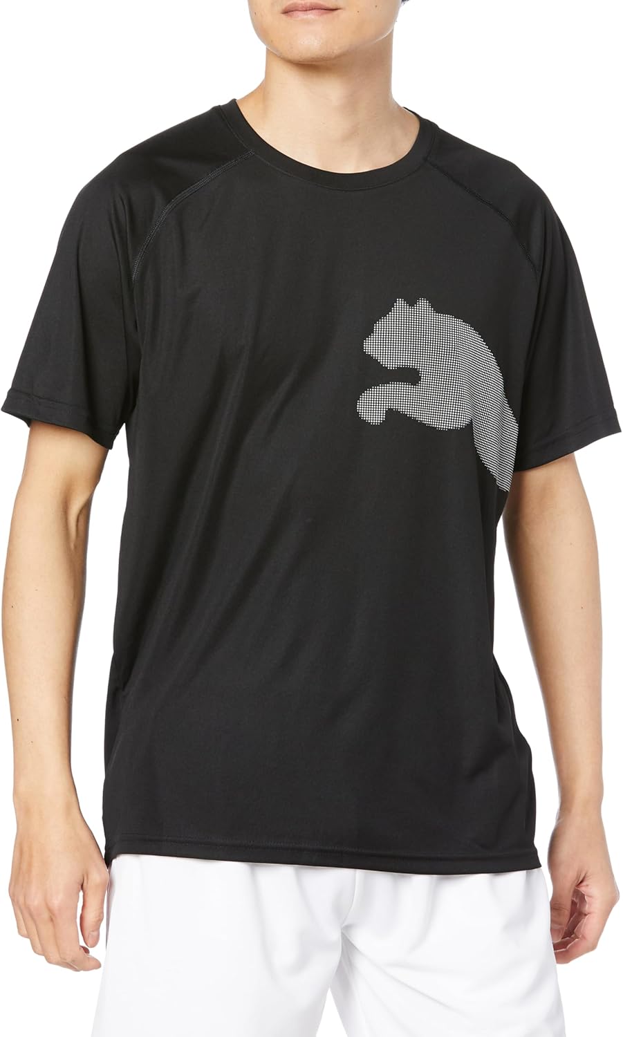 Мужская футболка Puma 525939 Sporty TRAIN ALL DAY BIG CAT, черный
Мужская футболка Puma 525939 Sporty TRAIN ALL DAY BIG CAT, черный