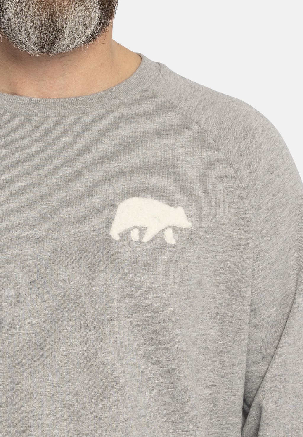 Толстовка MIT FROTTEE LOGO FORSBERG, светло-серый 
Толстовка MIT FROTTEE LOGO FORSBERG, светло-серый