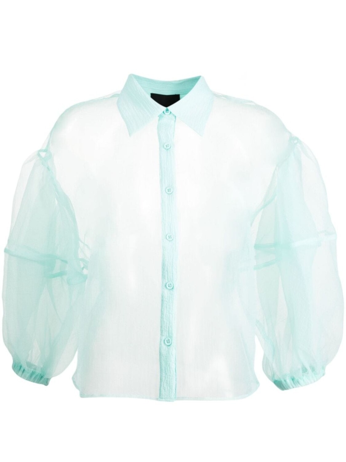 Прозрачная рубашка из органзы Cynthia Rowley, зеленый
Прозрачная рубашка из органзы Cynthia Rowley, зеленый