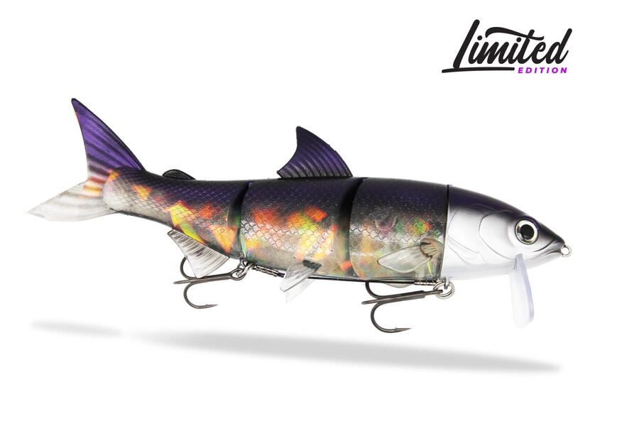 FISHINGGHOST Мягкая приманка - Renky One 25 см – Purple Crystal
FISHINGGHOST Мягкая приманка - Renky One 25 см – Purple Crystal