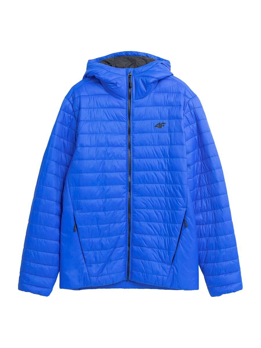 Зимняя куртка 4F Winter Jacket M240, коабльтовый синий
Зимняя куртка 4F Winter Jacket M240, коабльтовый синий
