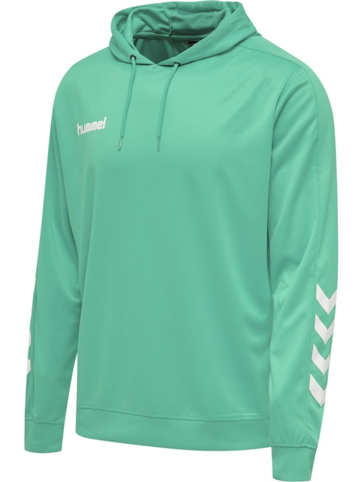 Худи синего цвета Hummel
Худи синего цвета Hummel