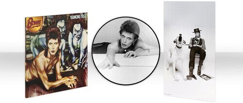 Виниловая пластинка Bowie, David - Diamond Dogs (50Th Anniversary Picture Disc)
Виниловая пластинка Bowie, David - Diamond Dogs (50Th Anniversary Picture Disc)