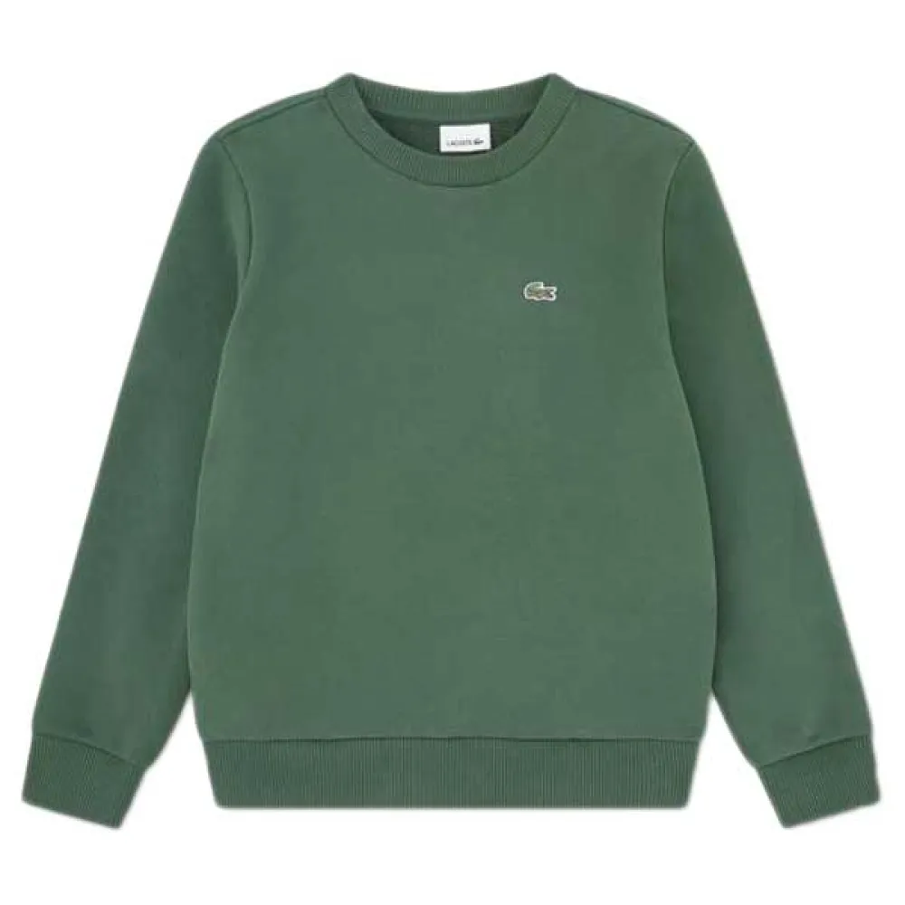 Толстовка Lacoste Kids Core Fleece Crew, зеленый
Толстовка Lacoste Kids Core Fleece Crew, зеленый