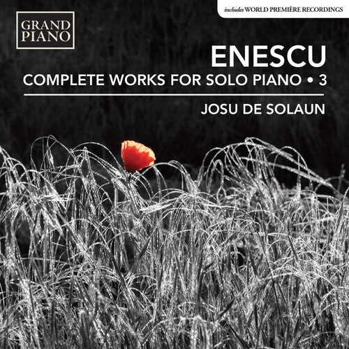 CD диск Enescu / De Solaun: Enescu: Complete Piano Music 3
CD диск Enescu / De Solaun: Enescu: Complete Piano Music 3