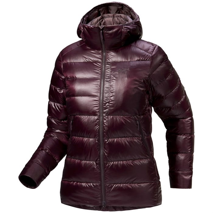 Толстовка Cerium sv - женская Arc'Teryx, Phantasm
Толстовка Cerium sv - женская Arc'Teryx, Phantasm