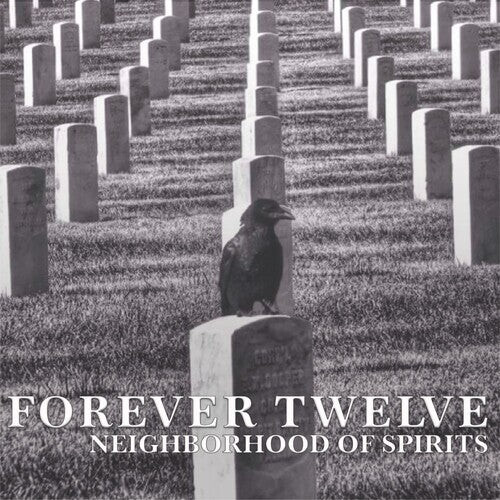 CD диск Forever Twelve: Neighborhood Of Spirits
CD диск Forever Twelve: Neighborhood Of Spirits