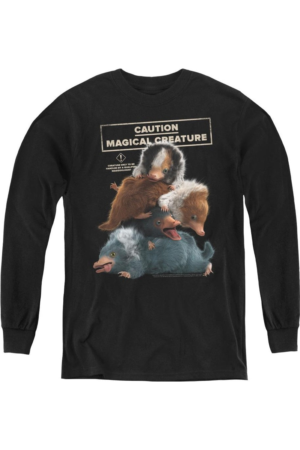 Футболка с длинным рукавом "Волшебные твари 2: Обнимашки" для детей Gildan, черный
Футболка с длинным рукавом "Волшебные твари 2: Обнимашки" для детей Gildan, черный