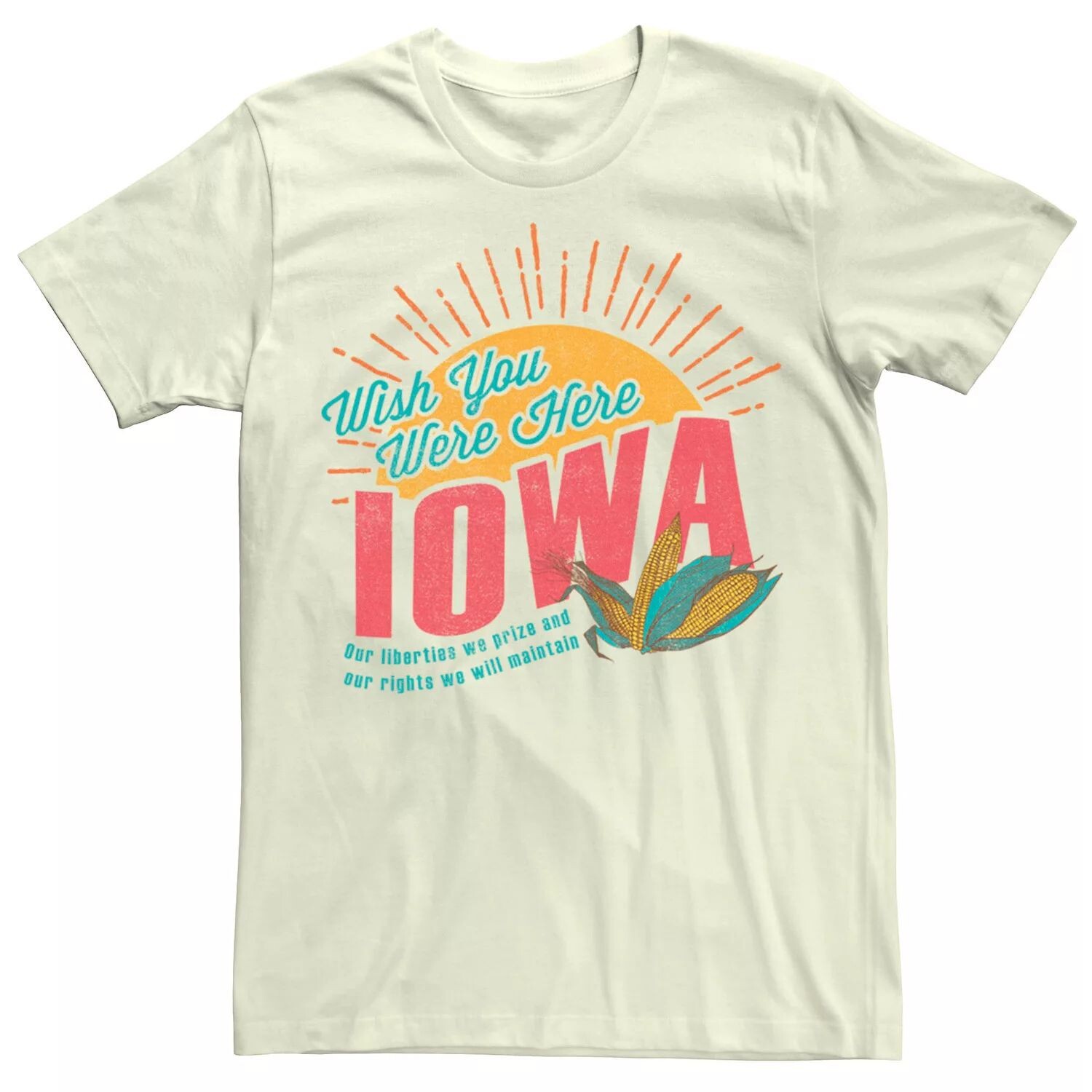Мужская футболка Iowa Wish You Were Here Licensed Character 
Мужская футболка Iowa Wish You Were Here Licensed Character